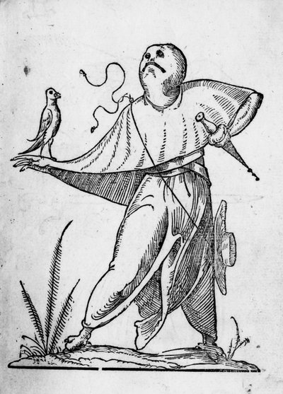 Illustrazione da 