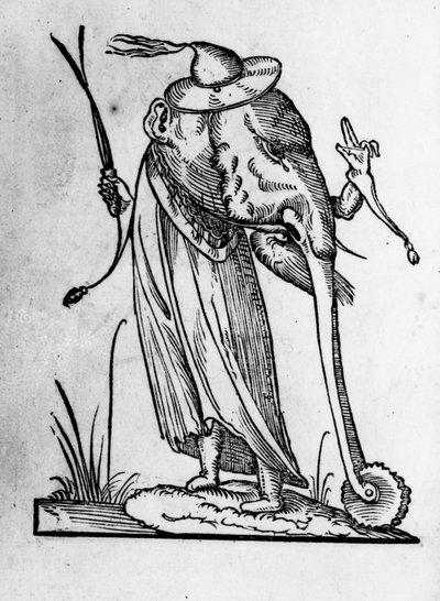 Illustrazione da 