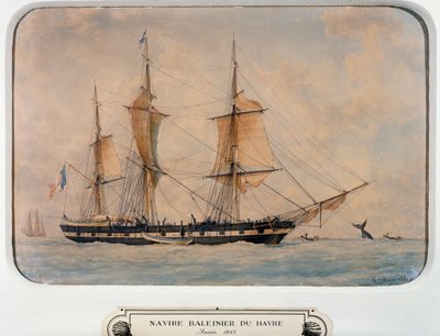 Nave baleniera a Havre da Francois Geoffroy Roux