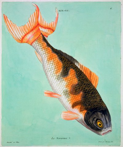 Le Noriroux da Francois Nicolas Martinet