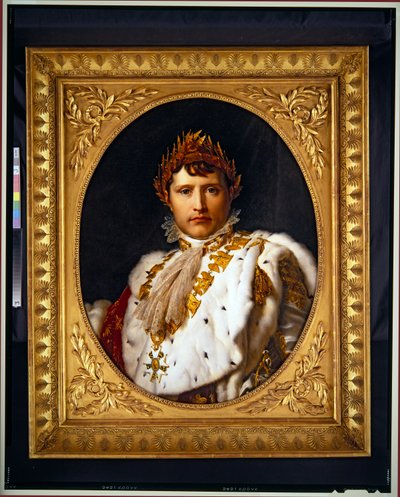 Ritratto di Napoleone, senza data da Francois Pascal Simon Baron Gerard