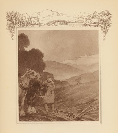 Illustrazione per l