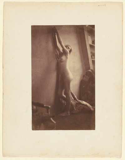 Nudo da Frank Chauvassaigne