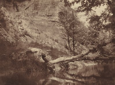 Riva del fiume, c. 1855 (foto) da Frank Chauvassaigne