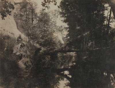 Paesaggio con figura seduta sulla riva di un ruscello da Frank Chauvassaignes
