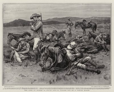 La cura dei cavalli in Sudafrica, esausti dopo una marcia forzata da Frank Dadd