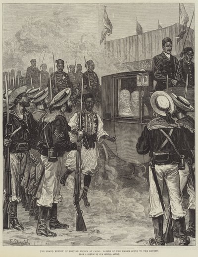 La grande parata delle truppe britanniche al Cairo, le signore dell
