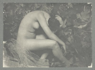 La cicala da Frank Eugene