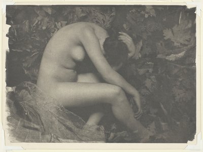 La cicala da Frank Eugene