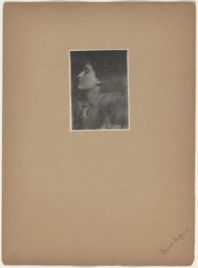 Signora di Charlotte, 1901 (foto) da Frank Eugene