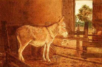 Una riflessione da Frank Goodwin