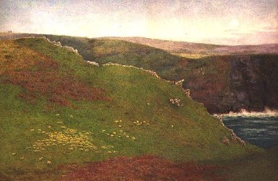 Vista sulla costa della Cornovaglia da Frank Goodwin