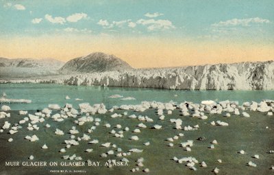 Ghiacciaio Muir, Glacier Bay, Alaska, USA (foto a colori) da Frank H. Nowell