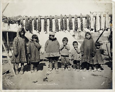 Sotto la fila di salmoni da Frank H. Nowell