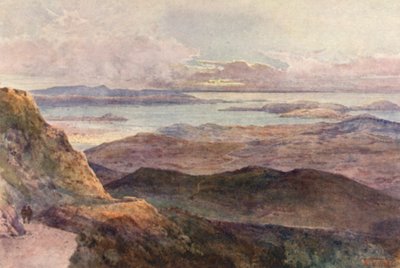 Nuova Zelanda: Coromandel da Frank H Wright