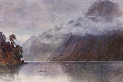 Nuova Zelanda: Nel Milford Sound da Frank H Wright