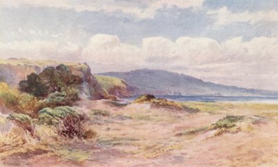 Nuova Zelanda: sulla spiaggia di Ngunguru da Frank H Wright