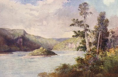 Nuova Zelanda: White Cliffs, Buller River da Frank H Wright