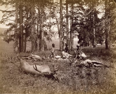 Cacciatori di alci, Yellowstone, c.1880 da Frank Jay Haynes