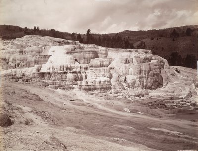 Terrazza di Minerva, Mammoth Hot Springs da Frank Jay Haynes