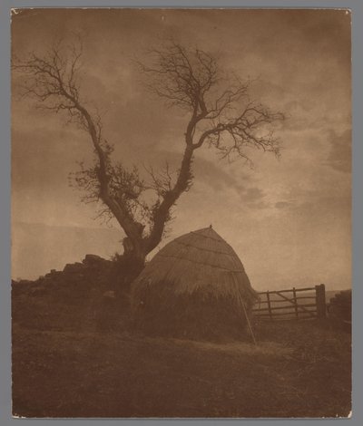 Egton Bridge a Whitby al tramonto da Frank Meadow Sutcliffe