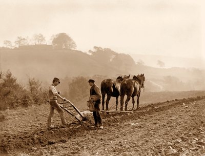 Contadini che arano un campo alla fattoria Lealholm Hall, Whitby, c.1889 da Frank Meadow Sutcliffe