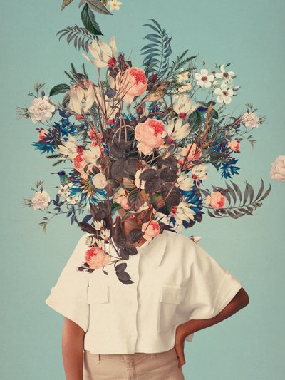  da Frank Moth