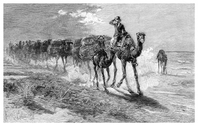 Cammelli che trasportano lana da Frank P. Mahony