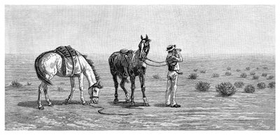 Niente in vista, 1886 da Frank P. Mahony