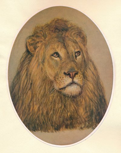 Testa di leone, c. 1896 da Frank Paton