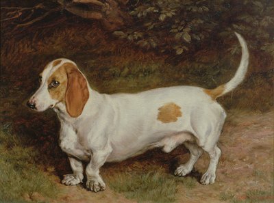 Il mio bassotto preferito, 1885 da Frank Paton
