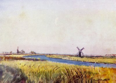 Norfolk Broads: Sopra St Olaves da Frank Southgate