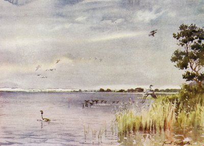 Norfolk Broads: Horsey Mere da Frank Southgate