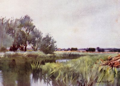 Norfolk Broads: Fieno di Palude - Trasporto sullo Yare da Frank Southgate