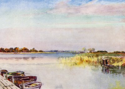 Norfolk Broads: Ormesby Broad, Autunno da Frank Southgate