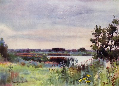 Norfolk Broads: Salhouse Great Broad da Frank Southgate