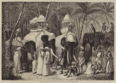 Gli elefanti del Rajah di Travancore da Frank Vizetelly