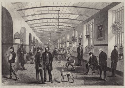 Il Royal Hospital di Betlemme, la galleria per uomini da Frank Vizetelly