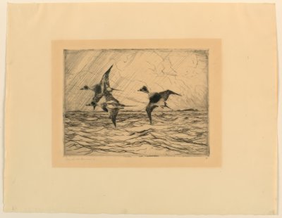 Anatre ghiacciate da Frank Weston Benson