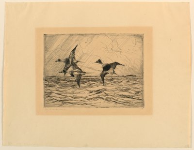 Vecchie squaw da Frank Weston Benson