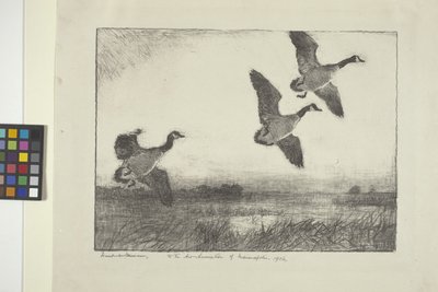 Tre oche da Frank Weston Benson