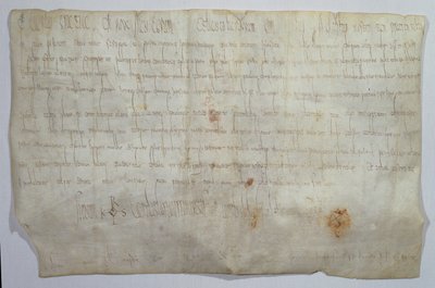 Documento firmato dall