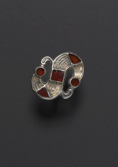 Fibula d