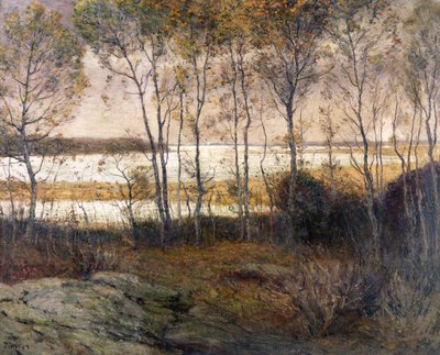 Acque argentee da Franklin De Haven