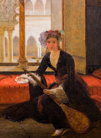 Sultana in un interno (olio su tela) da François Auguste Biard