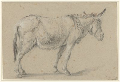 Asino in piedi, verso destra da François Boucher (possibly)