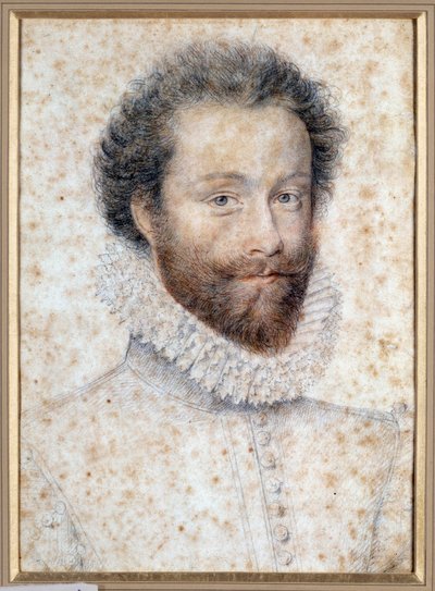 Ritratto di sconosciuto forse Luigi I, Principe di Condé da François Clouet