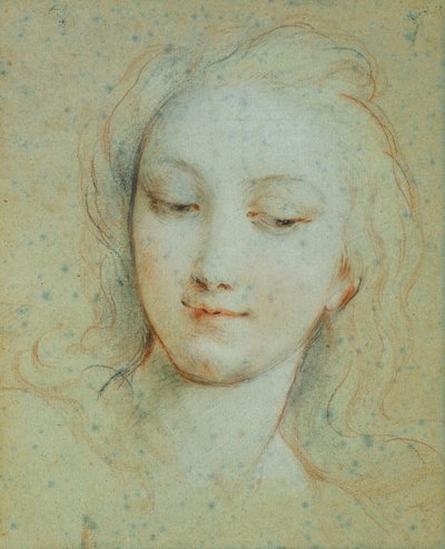 La testa di Venere da François Lemoyne
