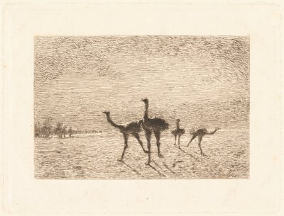 Struzzi nel deserto da François Nicolas Auguste Feyen Perrin