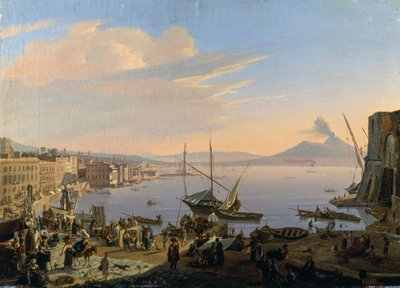 Veduta di Napoli con il Vesuvio sullo sfondo da François Vervloet